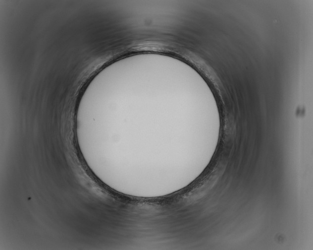 X0000101410529200807281027