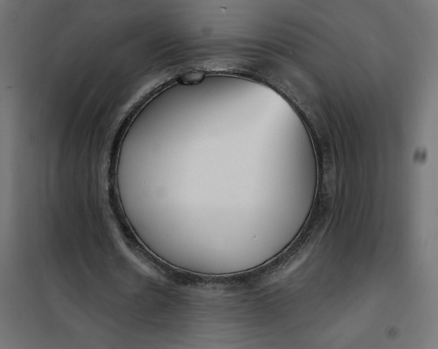 X0000101410530200807281027