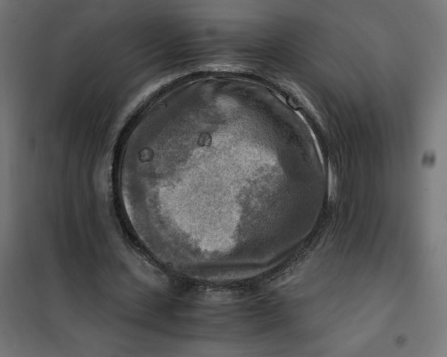 X0000101410531200807281027
