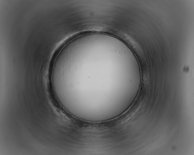 X0000101410532200807281027