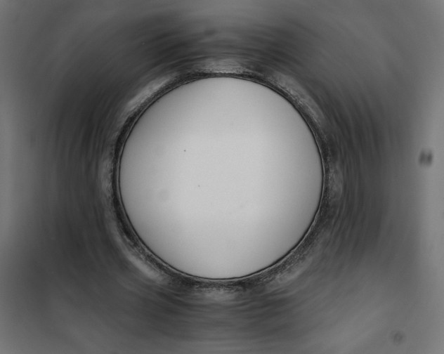 X0000101410533200807281028