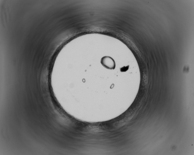 X0000101410534200807281028