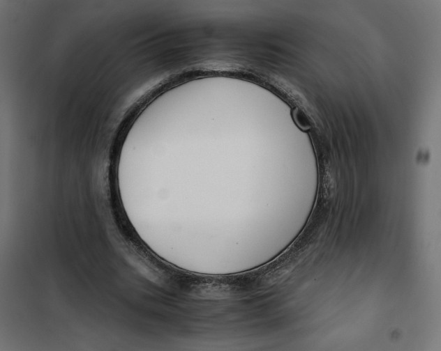 X0000101410535200807281028