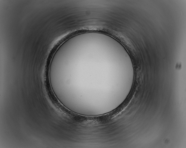 X0000101410536200807281028