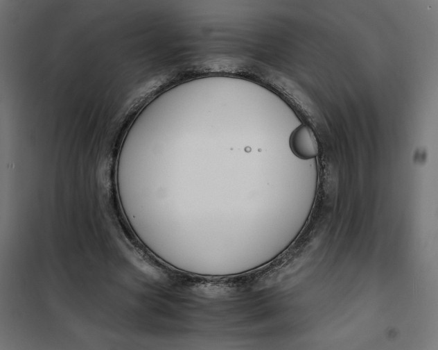 X0000101410537200807281028
