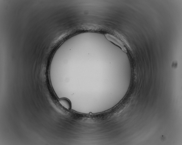 X0000101410538200807281028