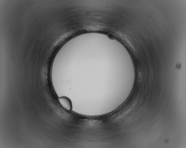 X0000101410539200807281028