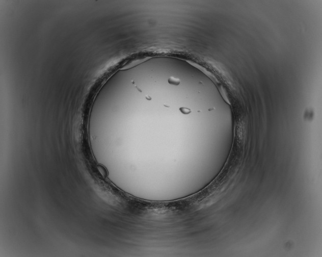 X0000101410540200807281028