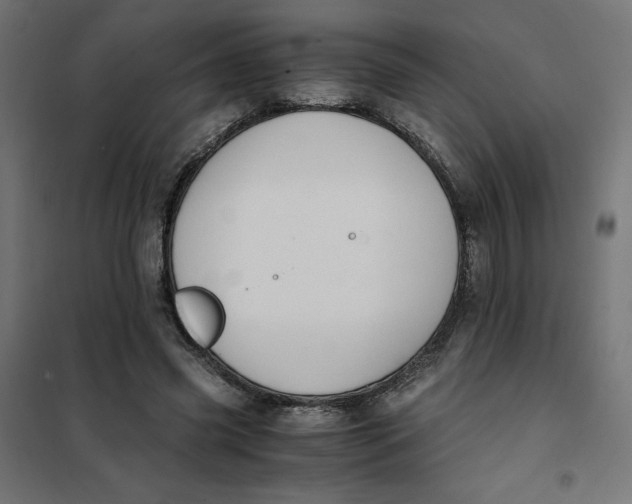 X0000101410541200807281028