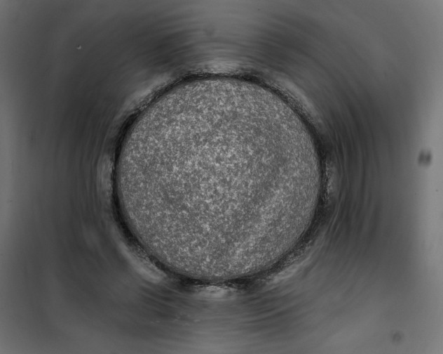 X0000101410542200807281028