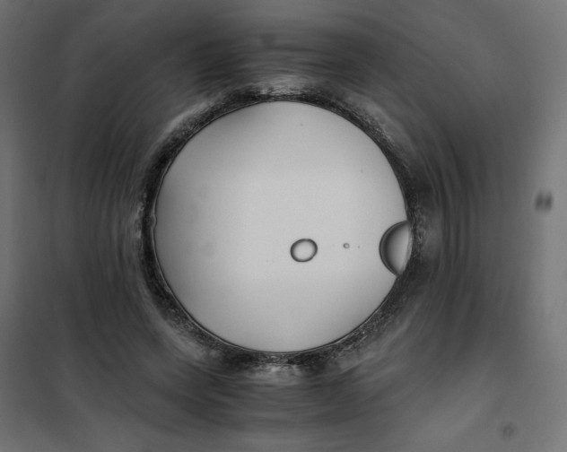 X0000101410543200807281028