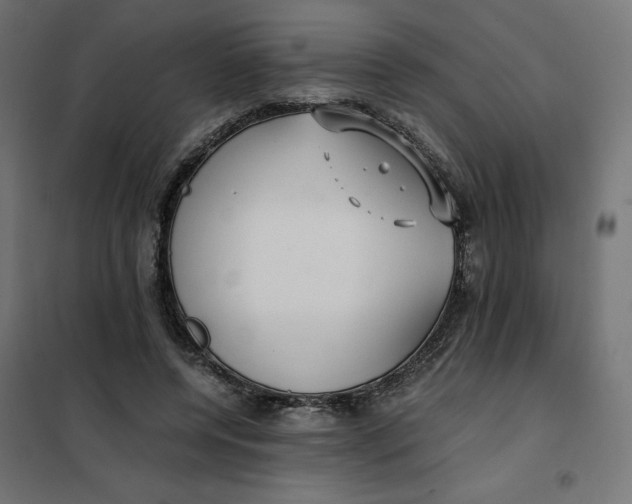 X0000101410544200807281028