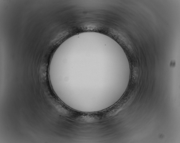 X0000101410545200807281028