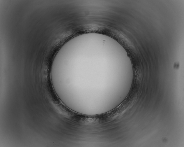 X0000101410546200807281028