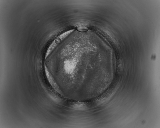 X0000101410547200807281028