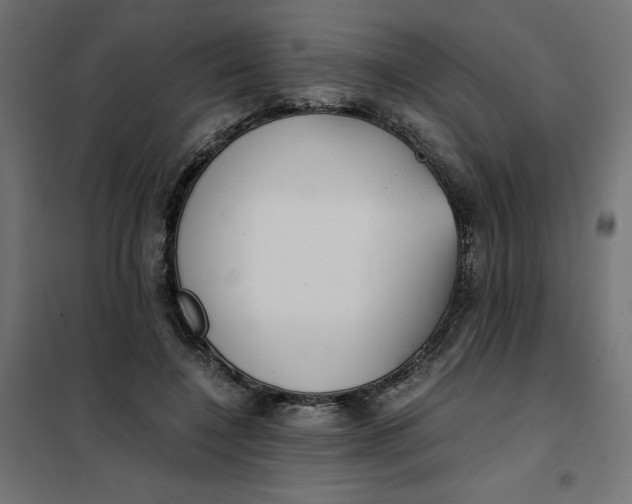 X0000101410548200807281028