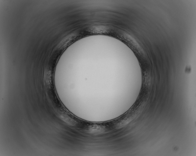 X0000101410549200807281028