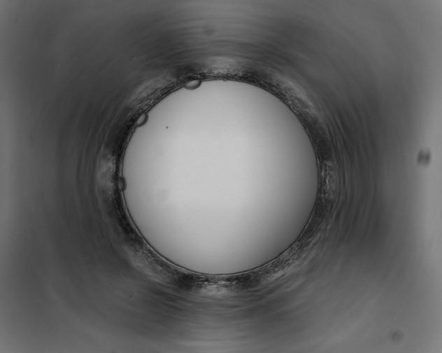 X0000101410550200807281028
