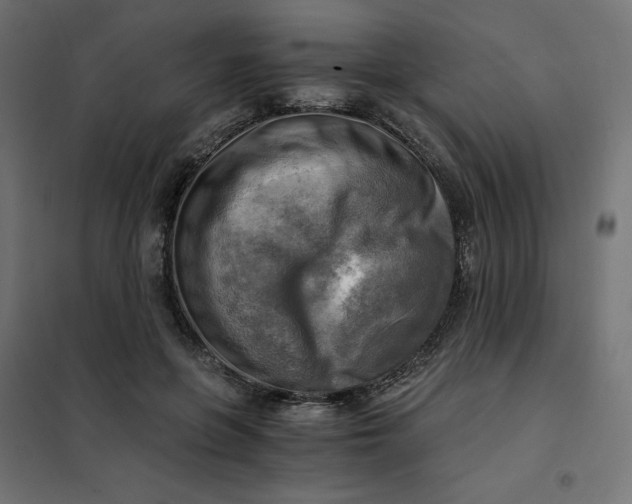 X0000101410551200807281028