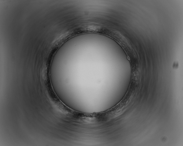 X0000101410552200807281028