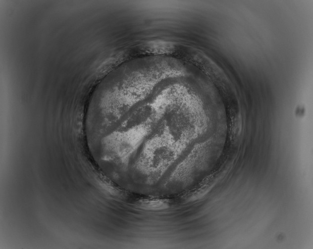 X0000101410553200807281028