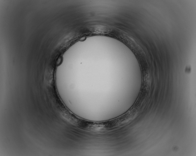 X0000101410554200807281028