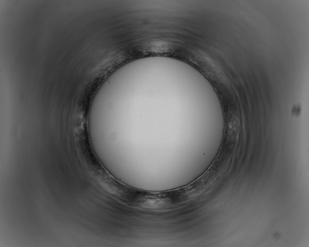 X0000101410555200807281028
