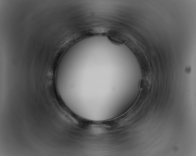 X0000101410556200807281028