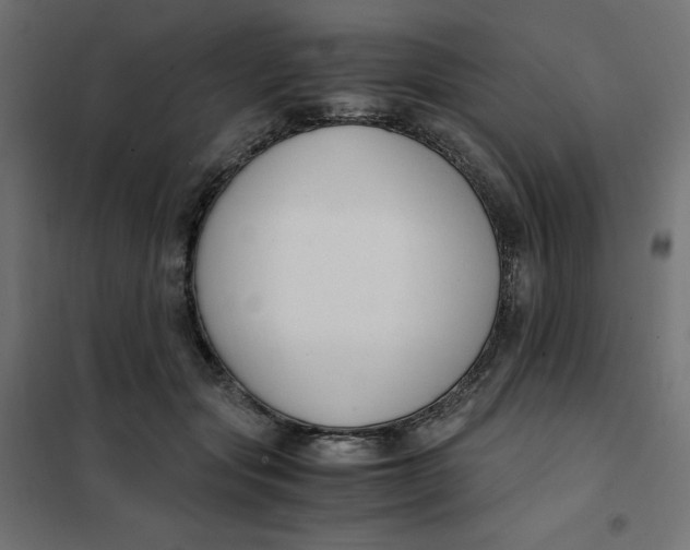 X0000101410557200807281028