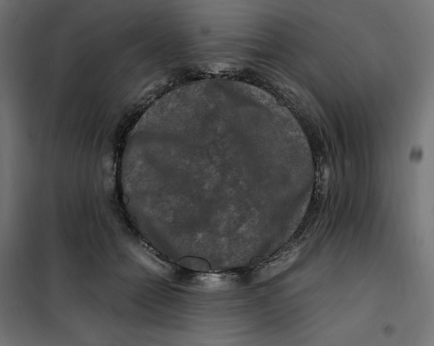 X0000101410558200807281028