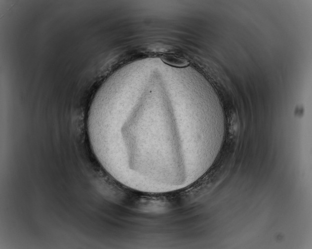 X0000101410559200807281028