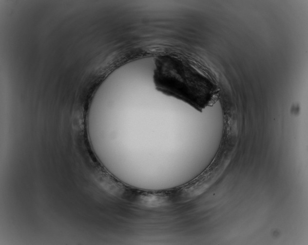 X0000101410561200807281028