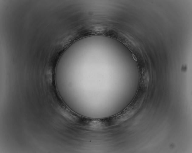 X0000101410562200807281028