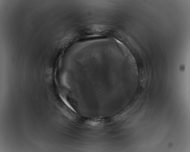 X0000101410563200807281028
