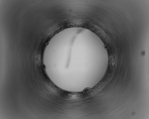 X0000101410564200807281028