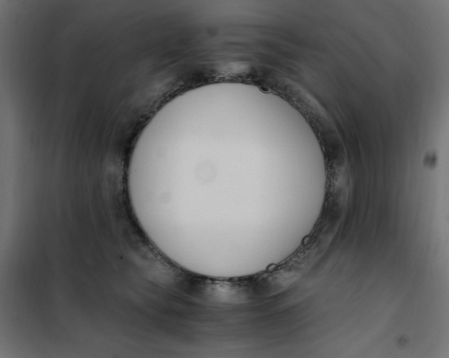 X0000101410565200807281028