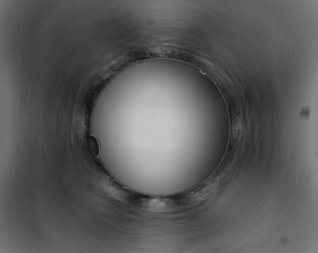 X0000101410566200807281028