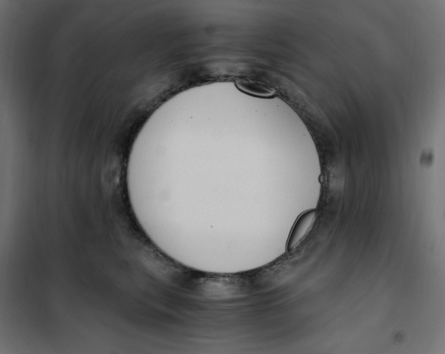 X0000101410567200807281028