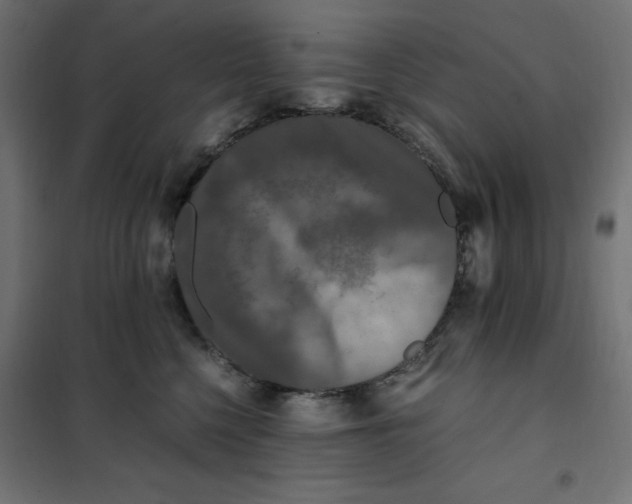 X0000101410568200807281028
