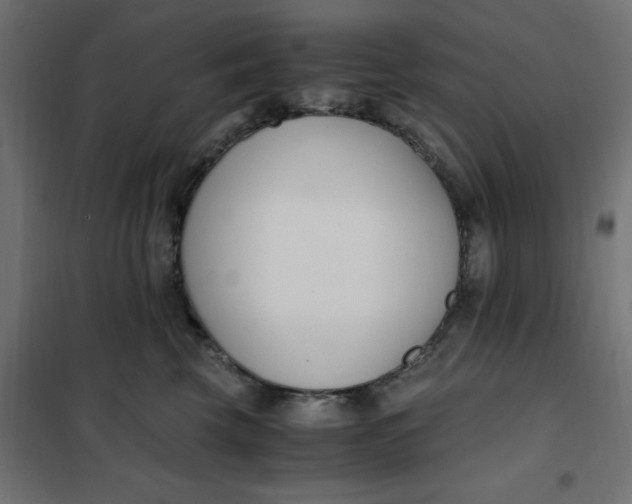 X0000101410569200807281028