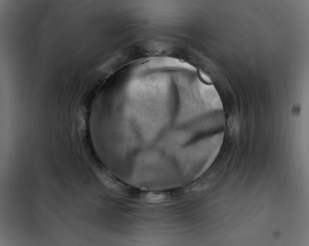 X0000101410570200807281028