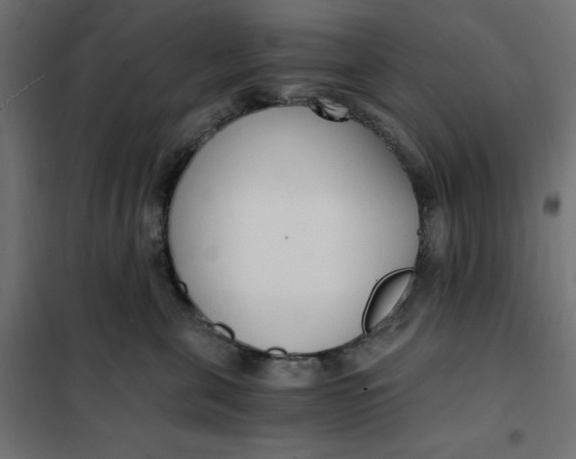 X0000101410571200807281028