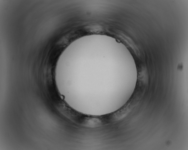 X0000101410572200807281028