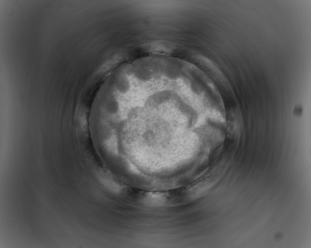 X0000101410573200807281028