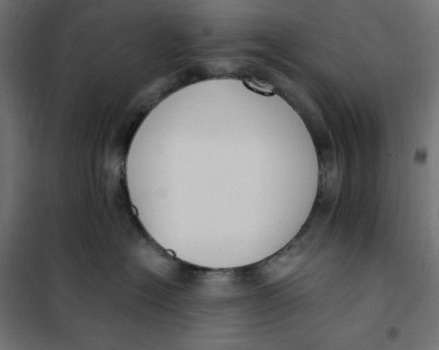 X0000101410574200807281028