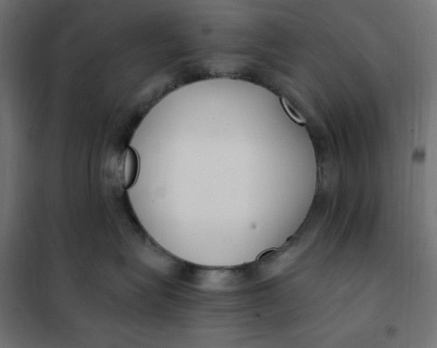 X0000101410575200807281028