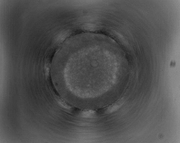 X0000101410576200807281028