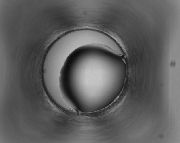 X0000101410577200807281027
