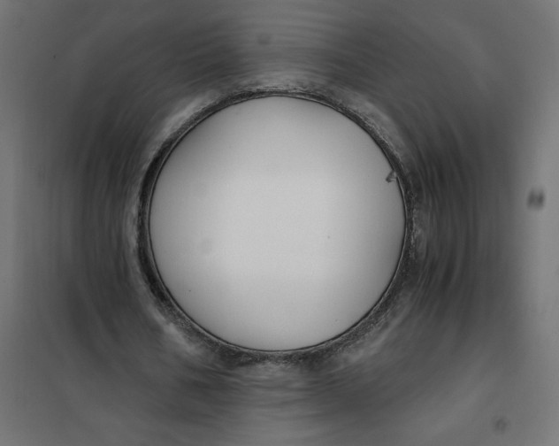X0000101410578200807281027