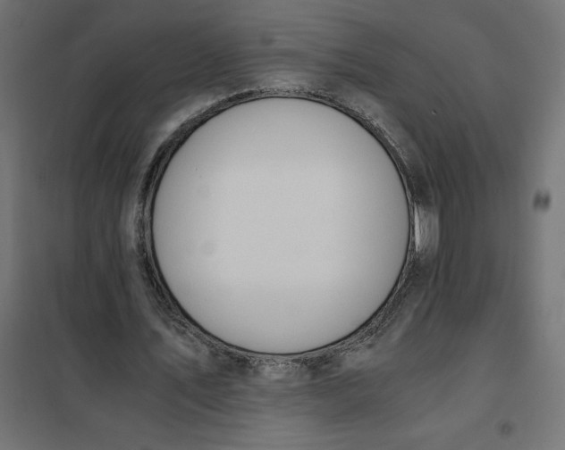 X0000101410579200807281027